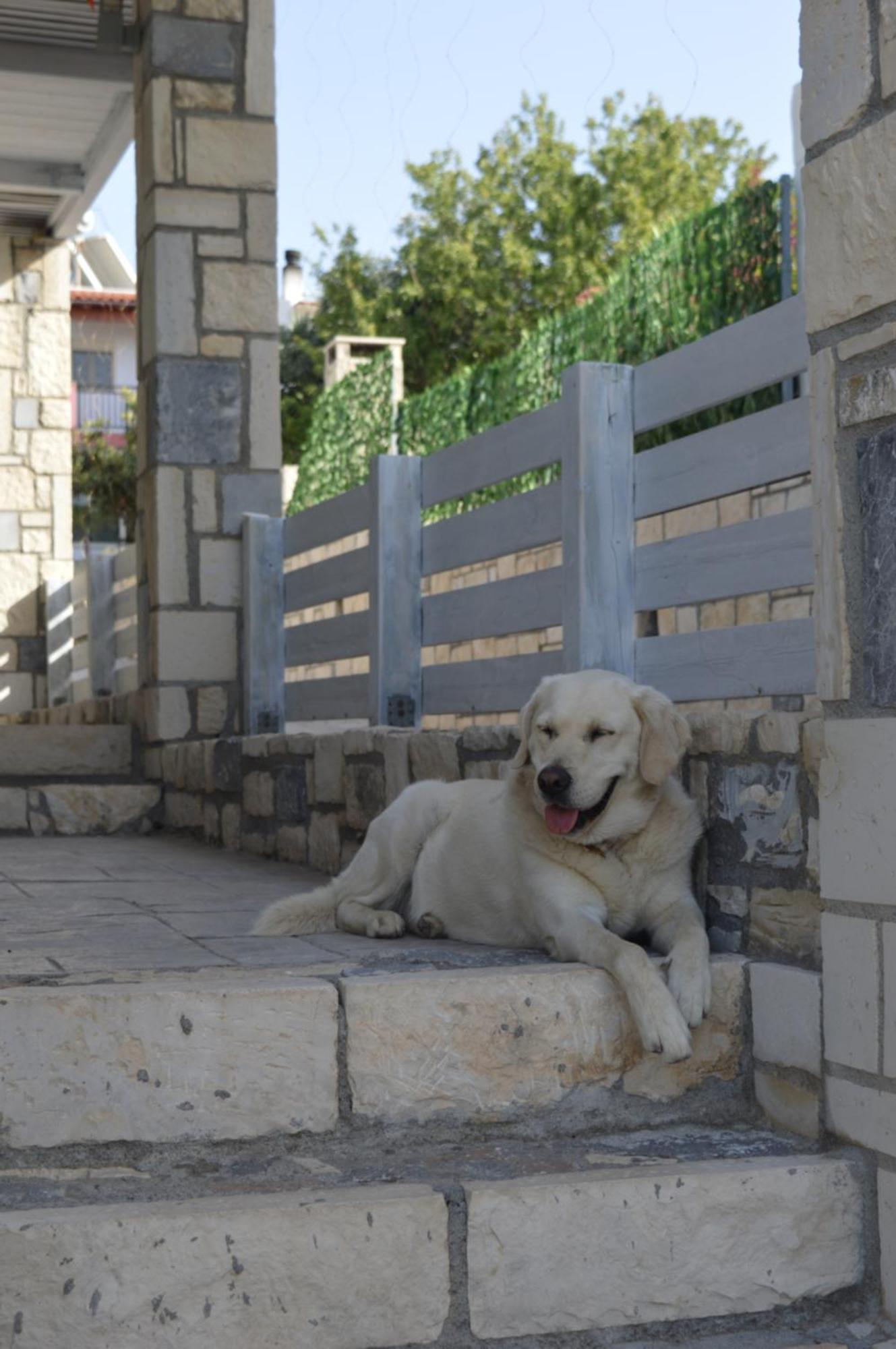 Aquarock Villa With Private Pool Prassás エクステリア 写真